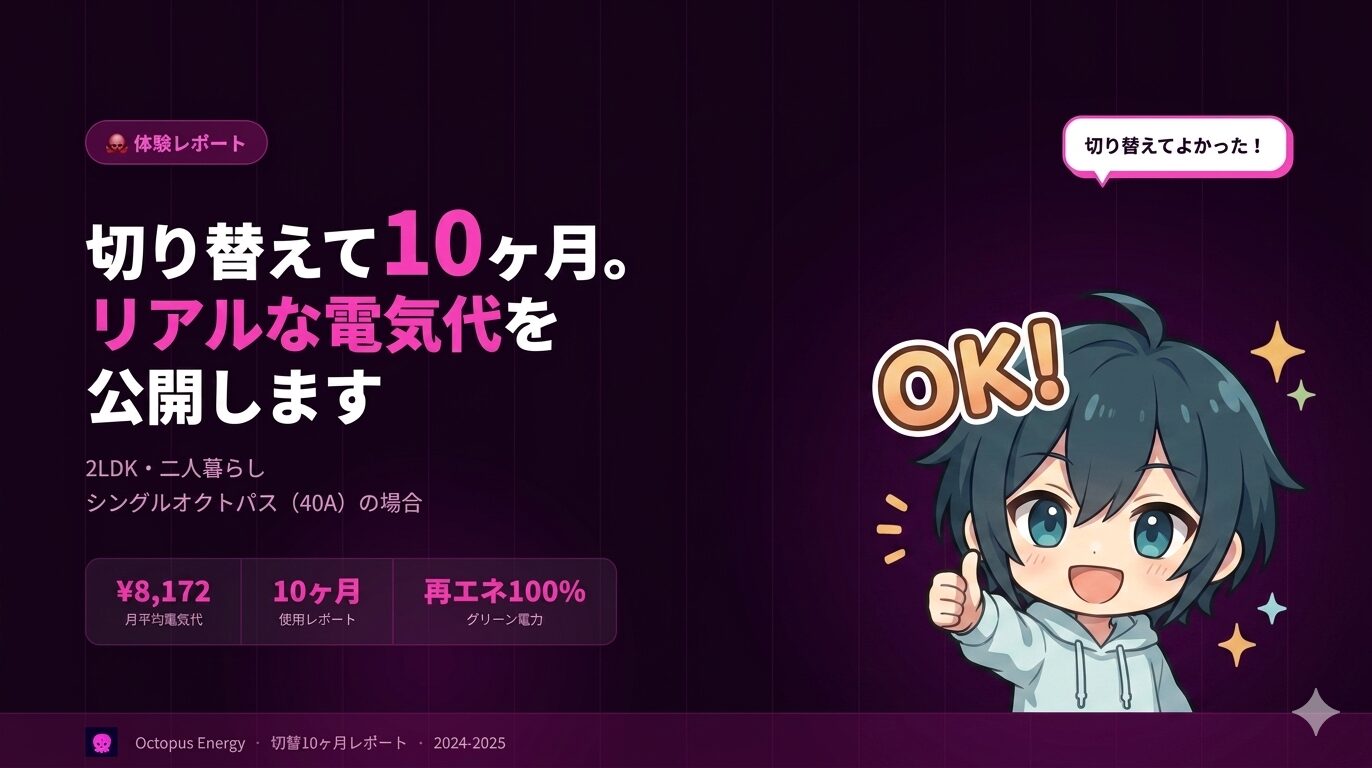 オクトパスエナジーに切り替えて10ヶ月。リアルな電気代を公開します